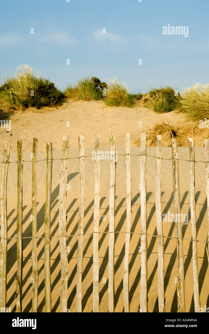 Dunes de sable avec des clôtures de Camber Sands East Sussex côte sud de l'Angleterre La Grande-Bretagne UK Banque D'Images