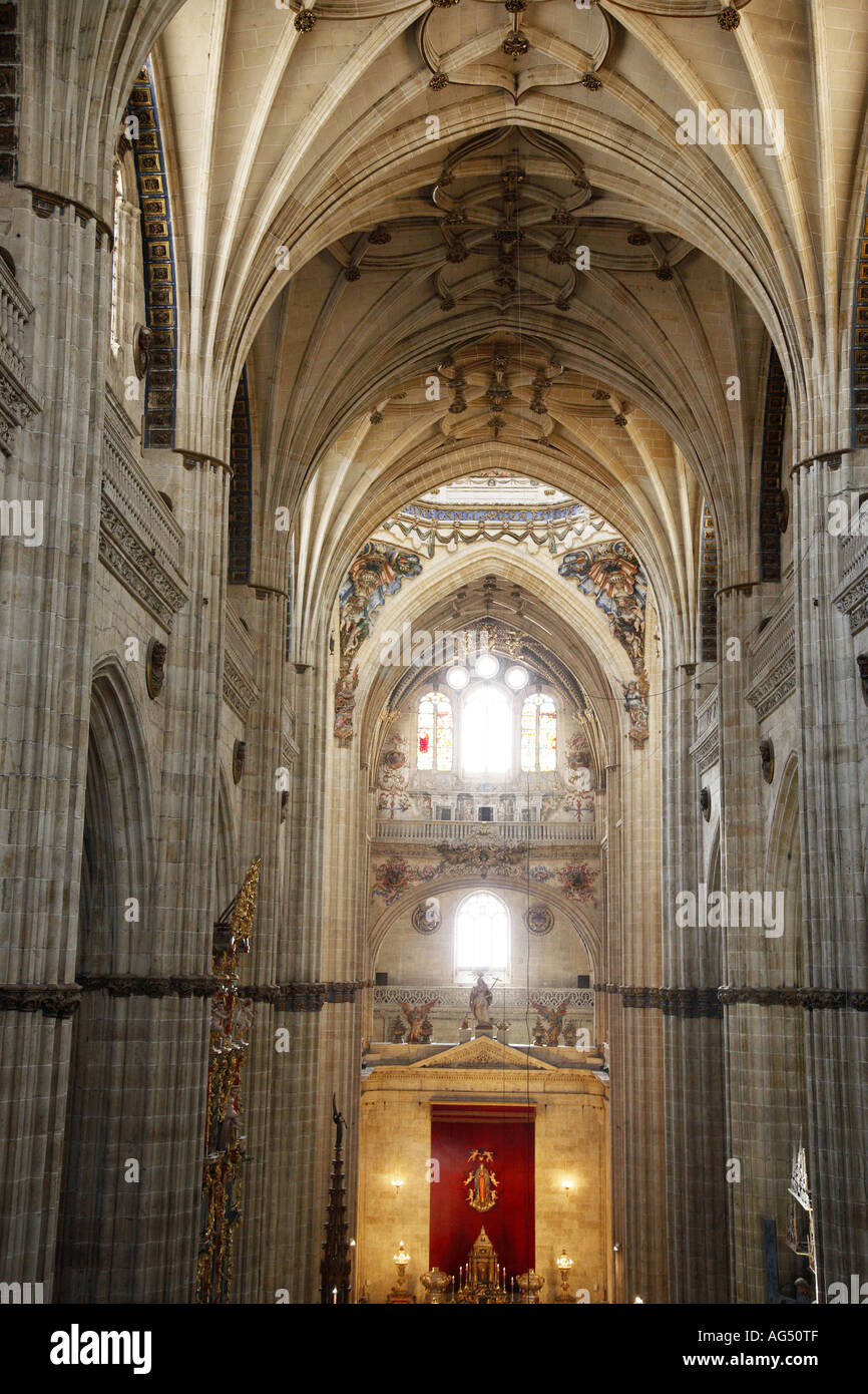 Nef principale, Salamanque Nouvelle Cathédrale, Salamanque, Castille et Leon, Espagne Banque D'Images
