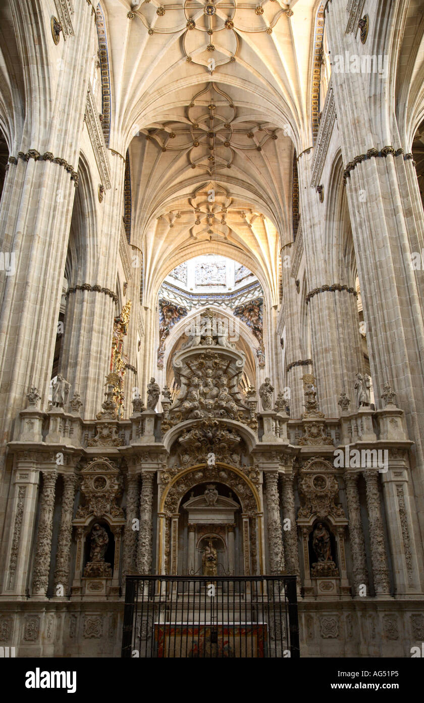 Nef principale, Salamanque Nouvelle Cathédrale, Salamanque, Castille et Leon, Espagne Banque D'Images