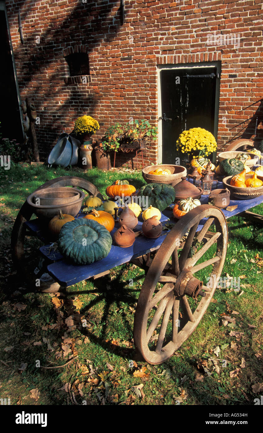 Pays-bas Warffum Pumpkins sur cheval antique panier Banque D'Images
