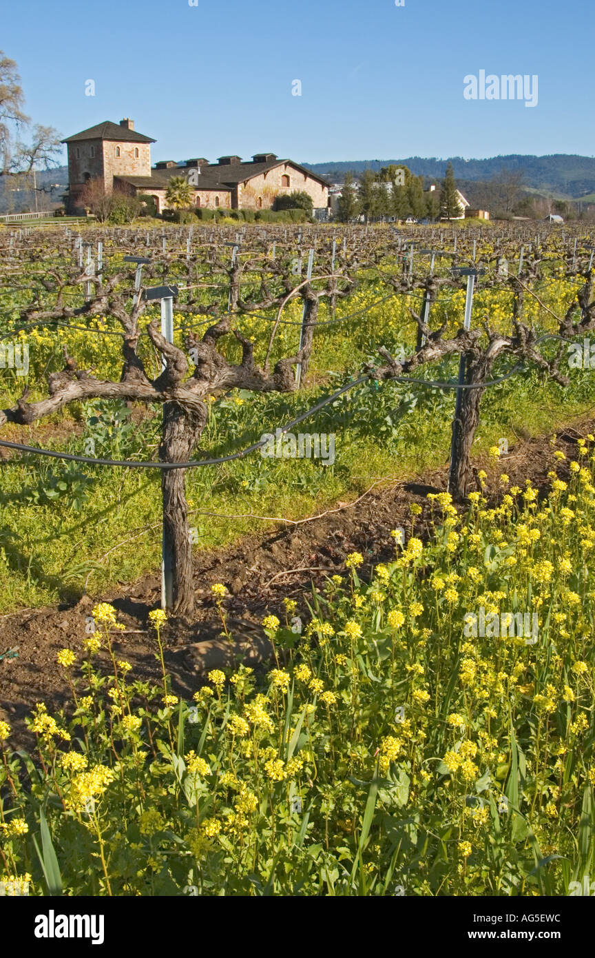 Napa Valley Californie Saint Helena V Sattui Winery Banque D'Images