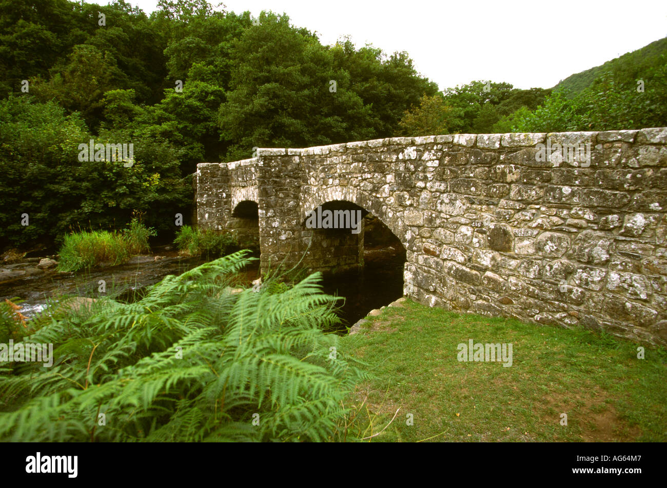 Devon Drewsteignton Fingle Bridge over River Teign Banque D'Images