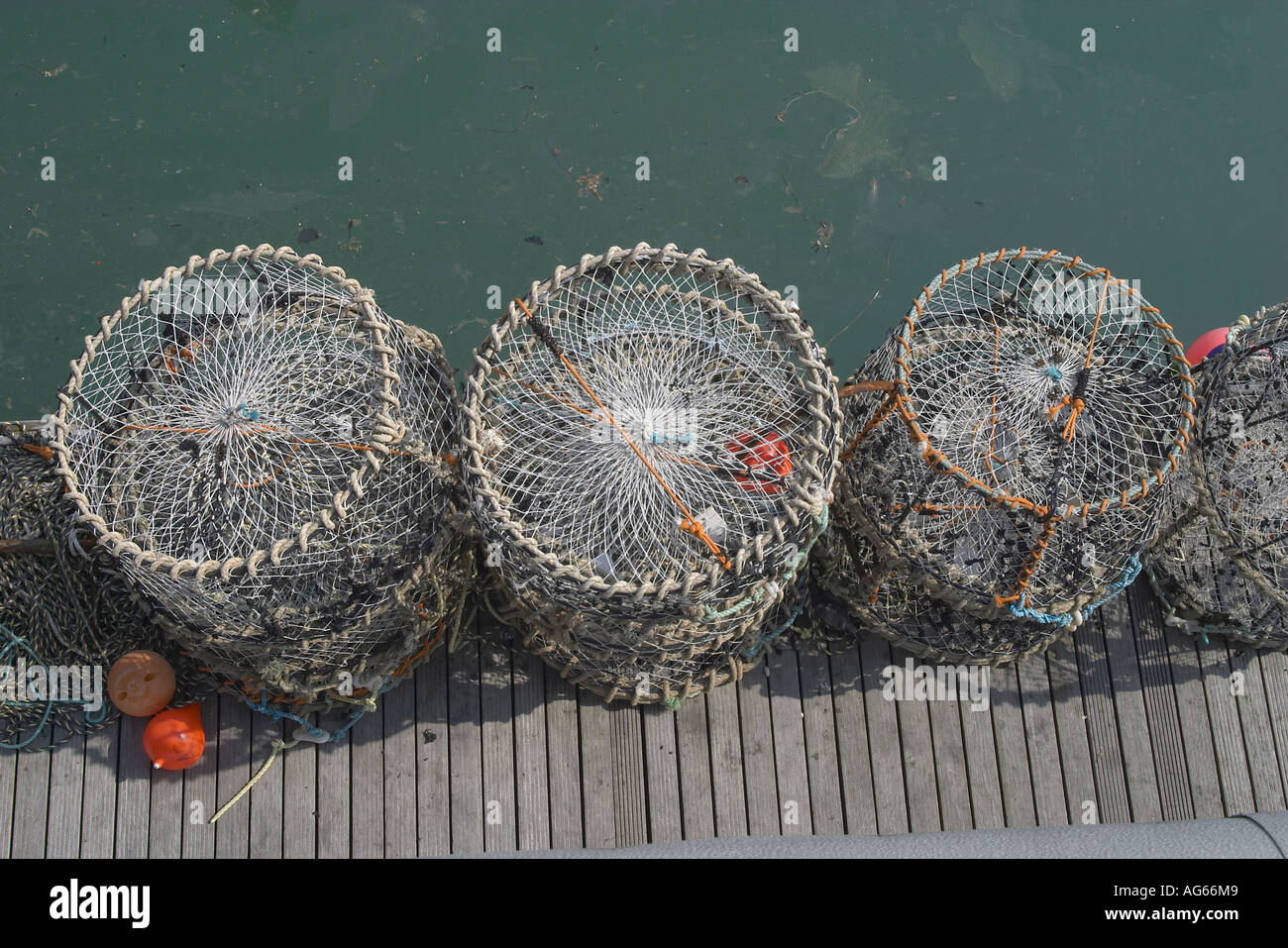 Collection de homard sur le ponton de la marina de Brighton, East Sussex, Angleterre. Banque D'Images