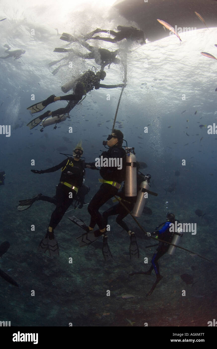 Les plongeurs de finir leur plongée dans le récif de requin, un parc marin à Pacific Harbour, îles Fidji. Banque D'Images