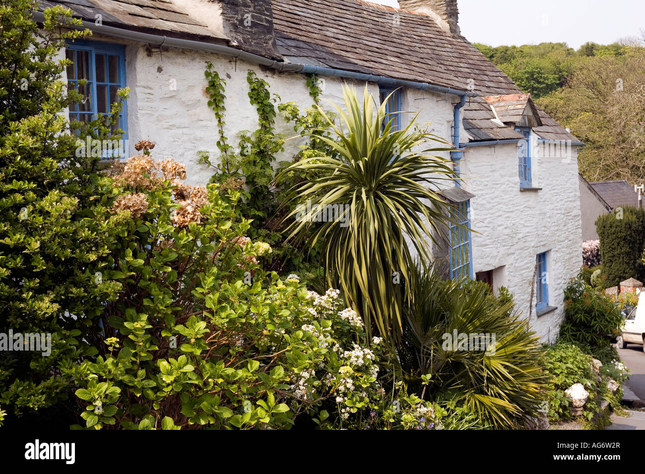 Cornwall UK Boscastle Ville Haute, rue Fore jardin de passeurs de l'une des villes plus anciennes chambres d'hôtes Banque D'Images