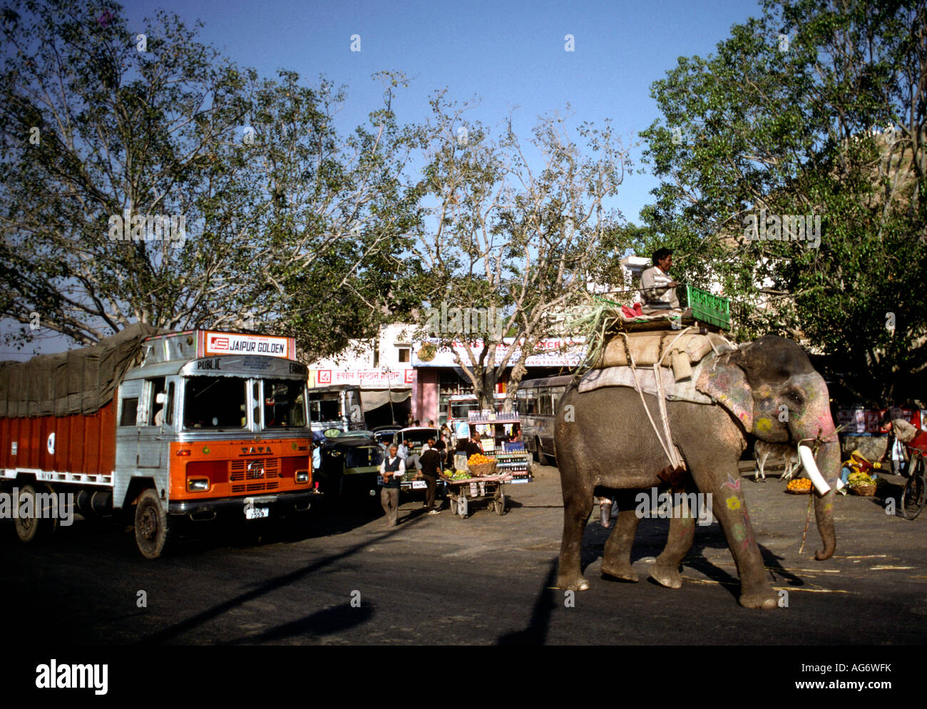 Inde Rajasthan Amber Fort Amber Road sur l'éléphant Banque D'Images