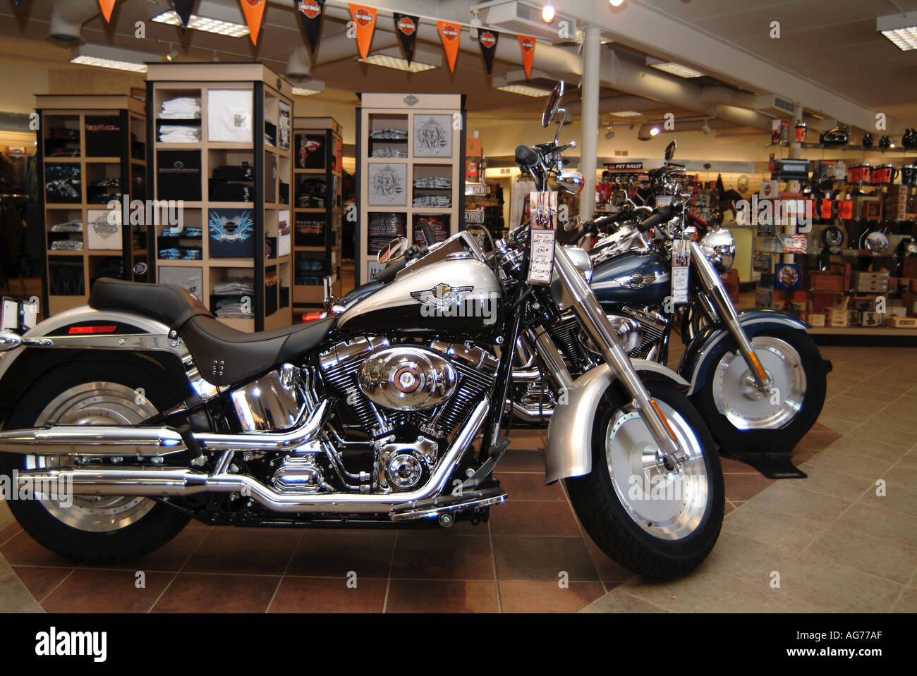 Concessionnaire Harley Davidson motorcylcle moto Moto us usa american nord  v twin hog Hells Angel americana intere mâle Photo Stock - Alamy