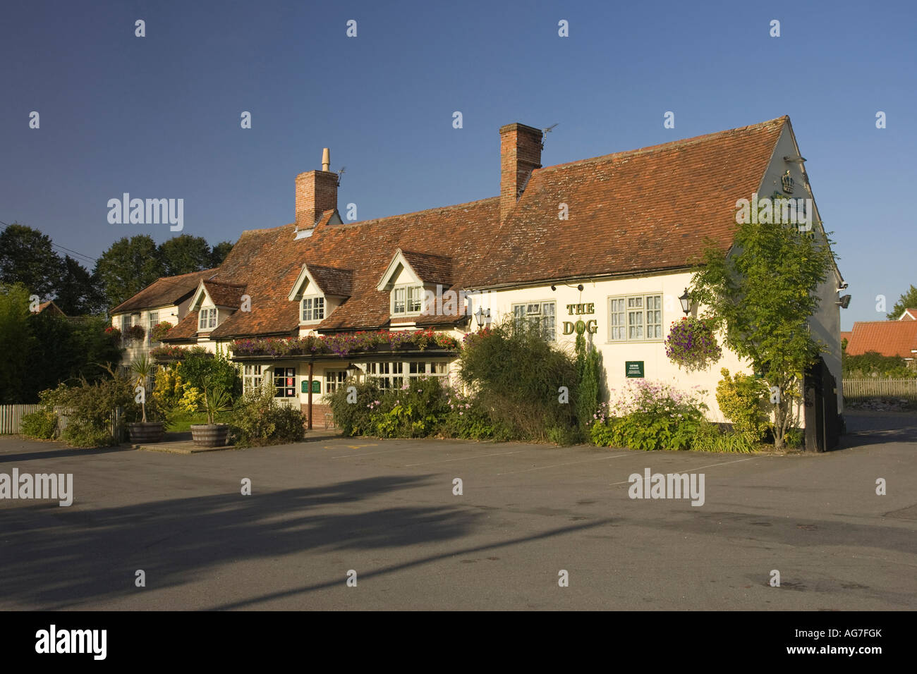 Le chien pub dans Norton village de Suffolk UK 2007 Banque D'Images