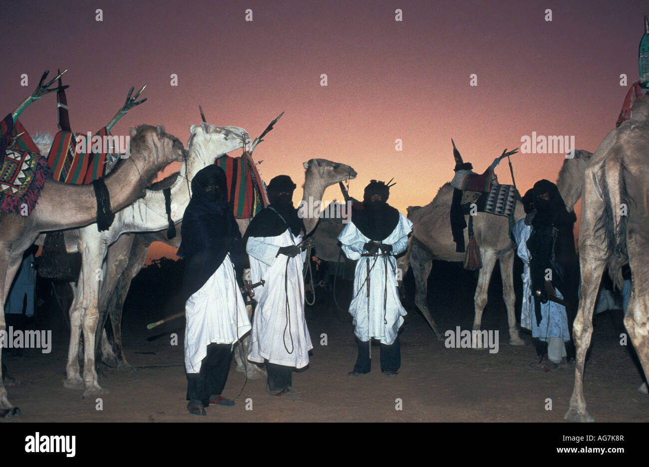 Les hommes de Timia Niger permanent touareg avec des chameaux au coucher du soleil Banque D'Images