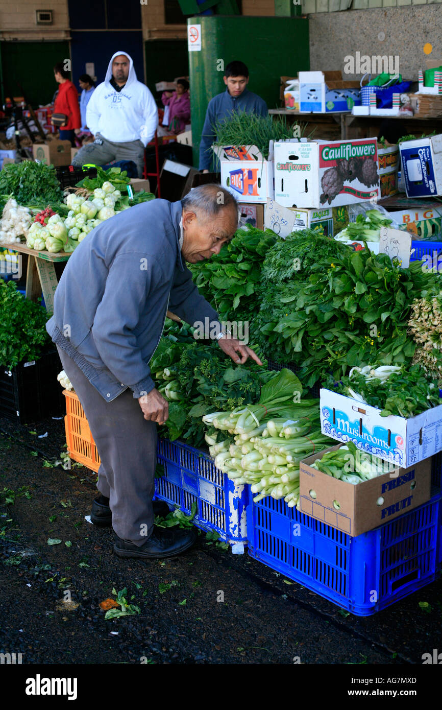 Un producteur de légumes chinois tend à ses marchandises au marché à Sydney Australie Flemington Banque D'Images