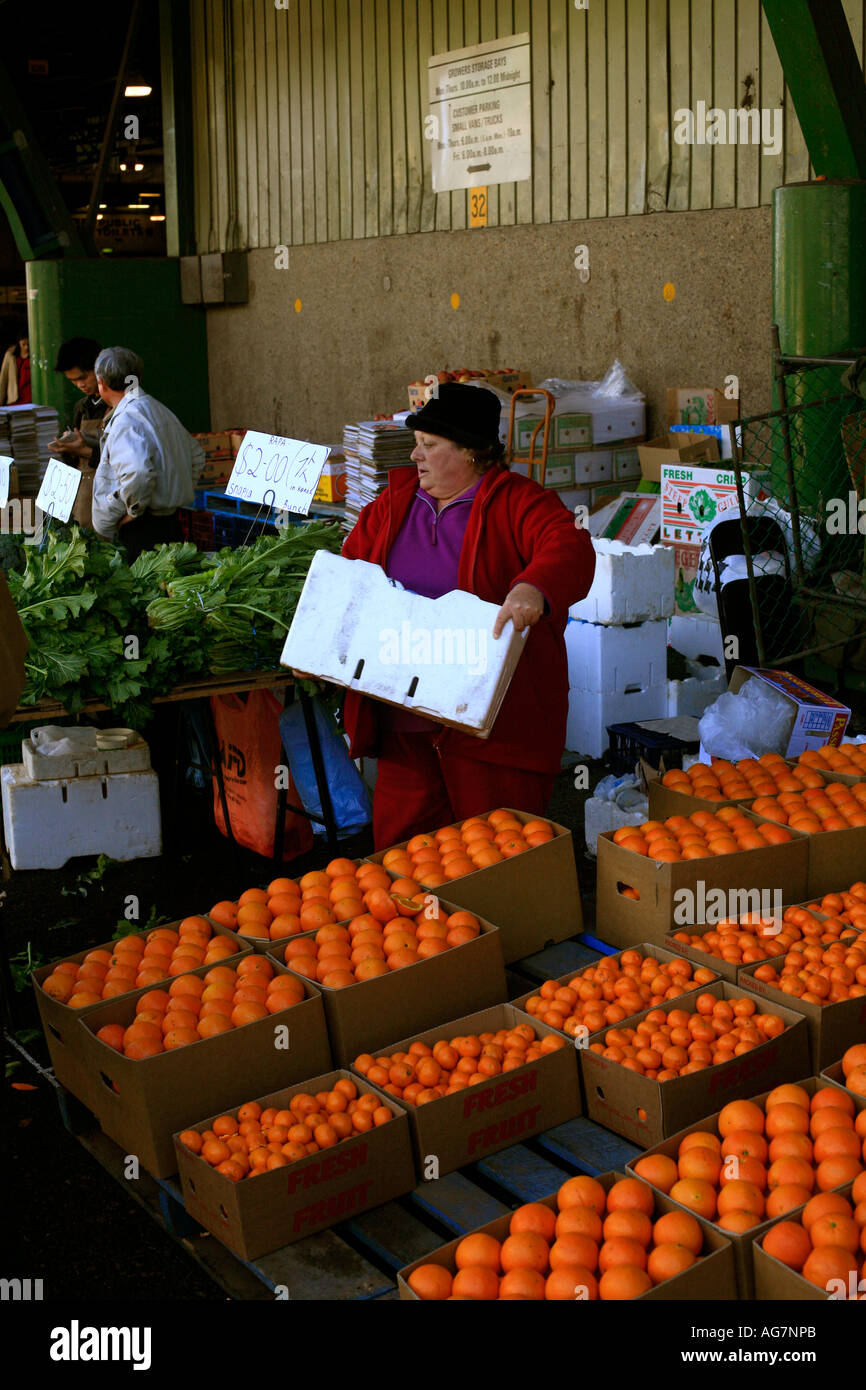 Boîtes de mandarines au marché de fruits et légumes à Flemington dans l'ouest de Sydney, Australie Banque D'Images