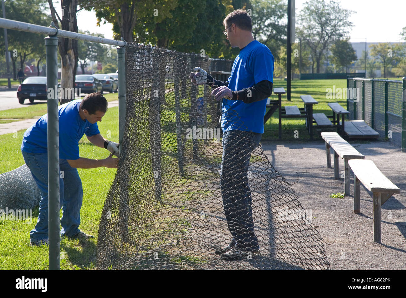 Remplacer les bénévoles clôtures métalliques à un terrain de softball Banque D'Images