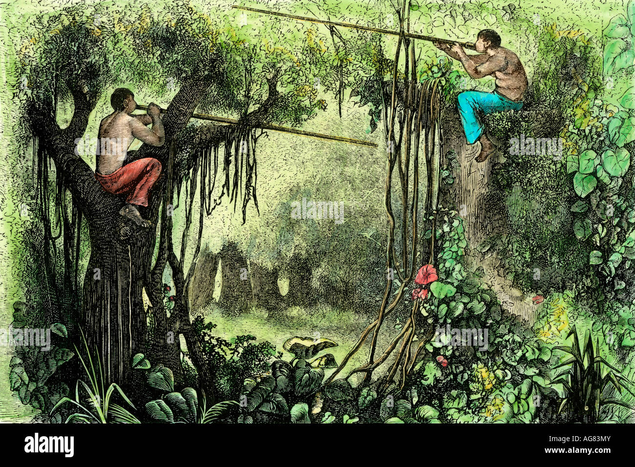 Les autochtones brésiliens de la chasse avec poison soufflettes bassin  amazonien. À la main, gravure sur bois Photo Stock - Alamy