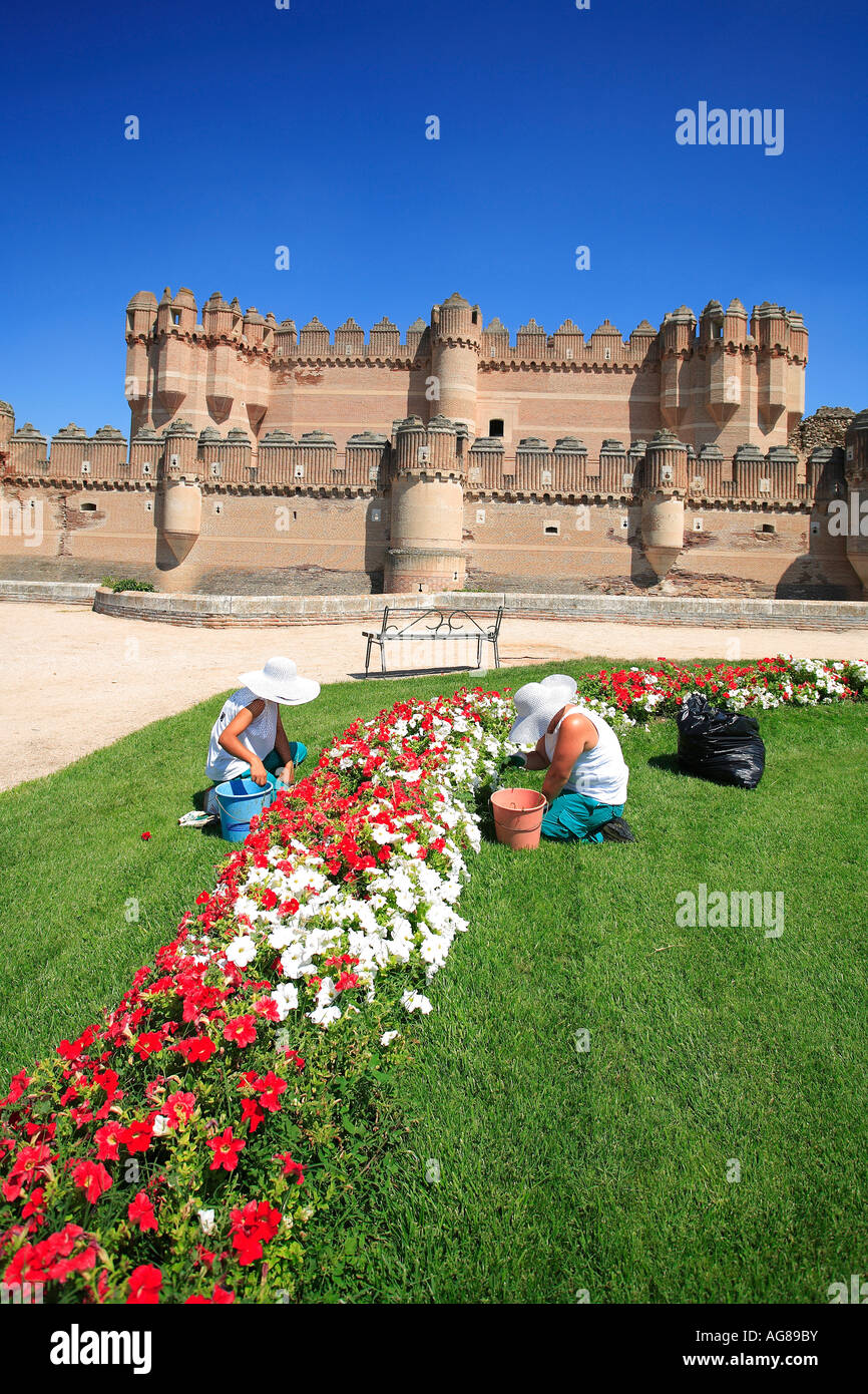 Jardiniers soigner les fleurs doubles à Castillio de los fonseca Segovia Espagne Coca Banque D'Images