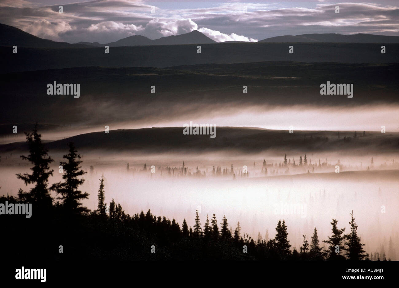 Rivière McKinley dans la brume du matin, Wonder Lake, le parc national Denali, Alaska, USA Banque D'Images