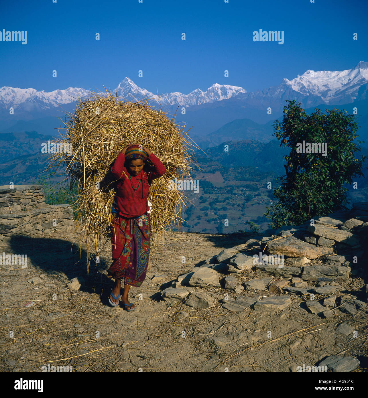 Région de l'Annapurna Népal Asie Népal Banque D'Images