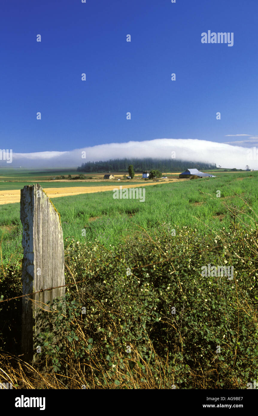 Ebey s Prairie et piquet Ebey s Landing réserve Historique National Washington Whidbey Island Coupeville Banque D'Images
