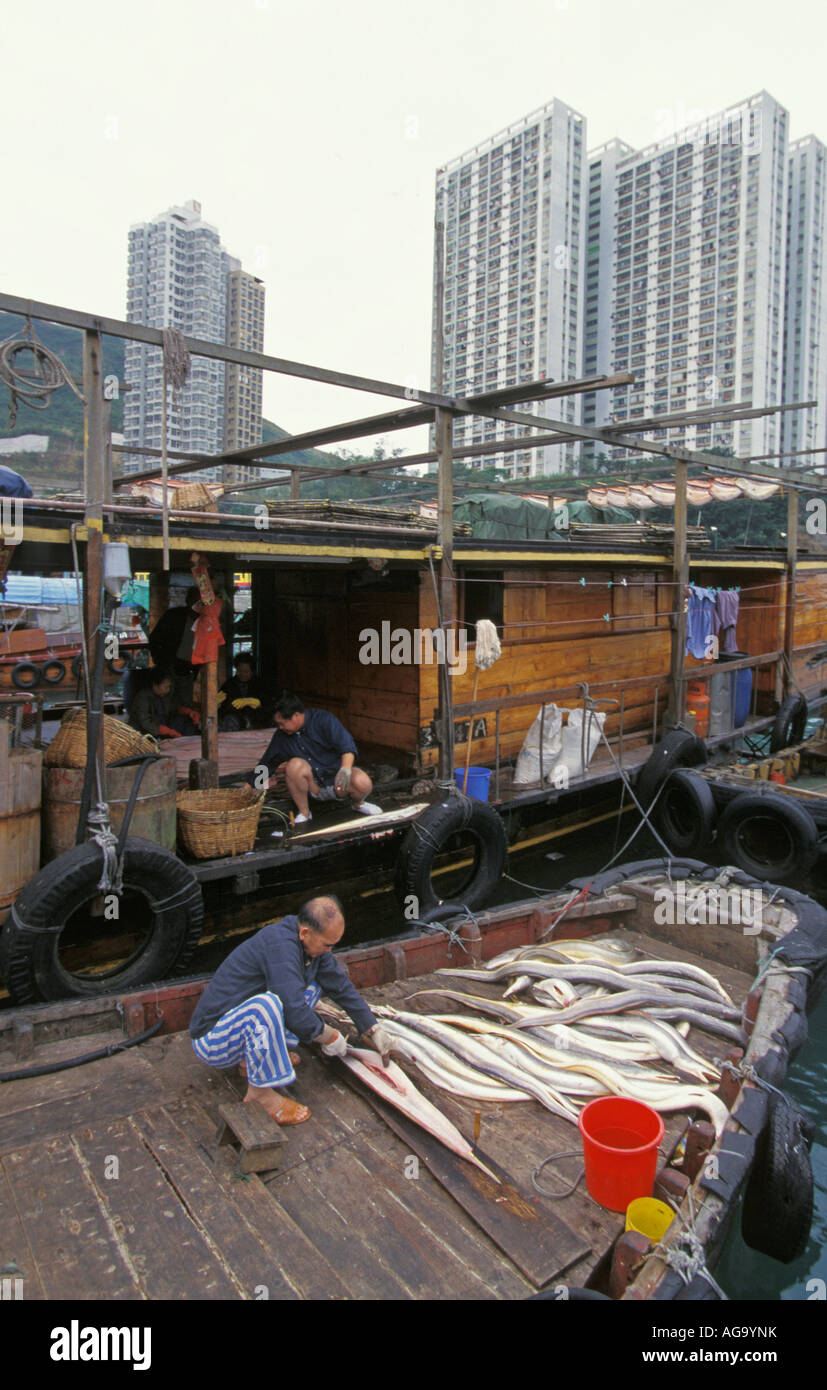 La Chine, Hong Kong, les hommes couper du poisson en bateau Banque D'Images