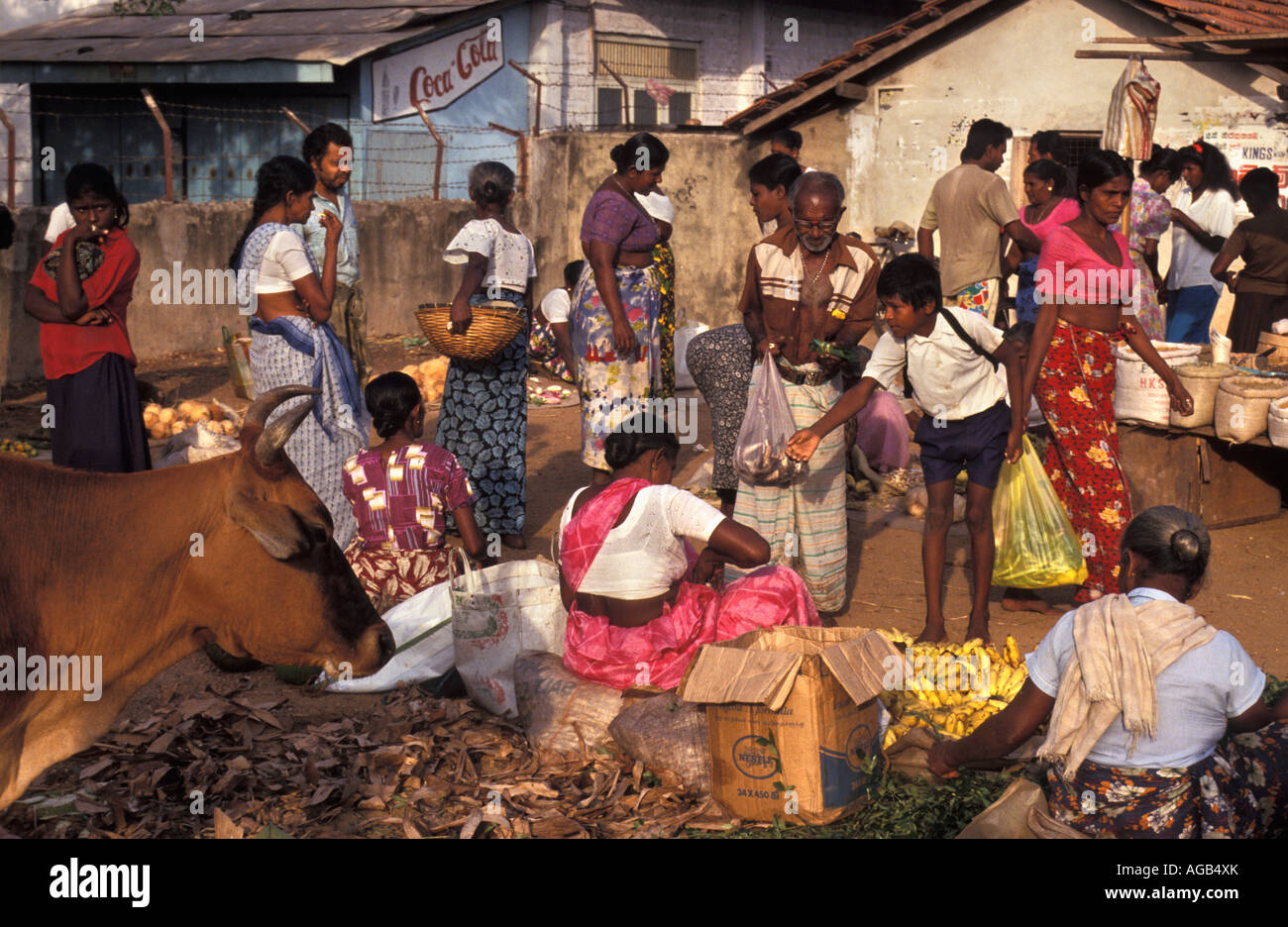 Sri Lanka Negombo, personnes au marché de poissons Banque D'Images