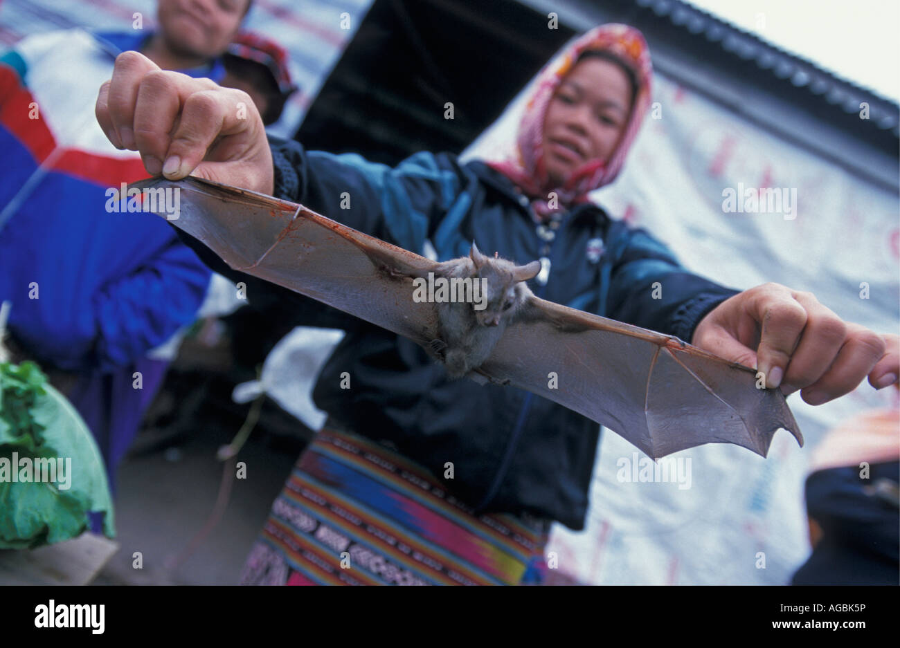 Laos, Luang Namtha, Woman holding bat Banque D'Images