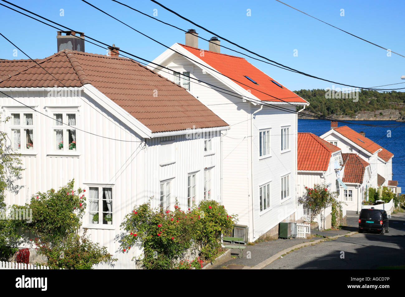 Maisons en bois blanc à Risor dans le sud de la Norvège Banque D'Images