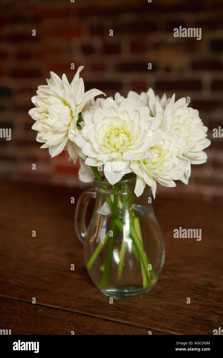 Dahlia blanc dans un vase sur la table en bois Banque D'Images