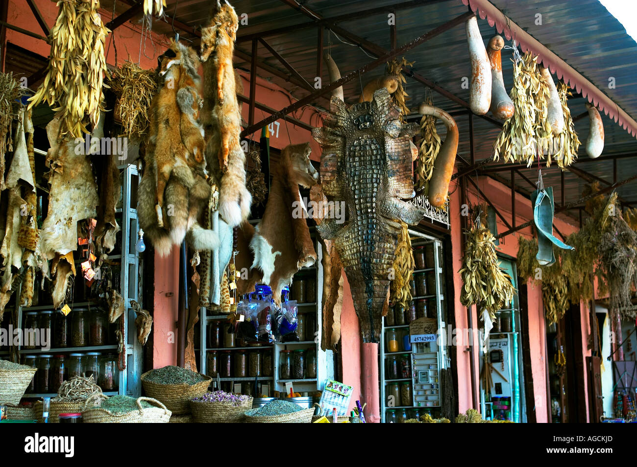 Peaux d'animaux suspendus dans un marché à Marrakech Banque D'Images