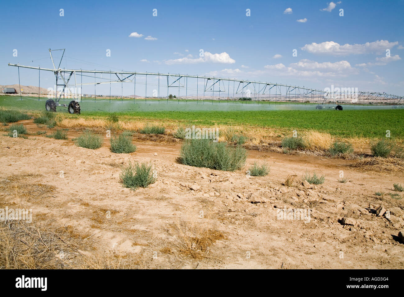 L'irrigation en désert de Mojave Banque D'Images