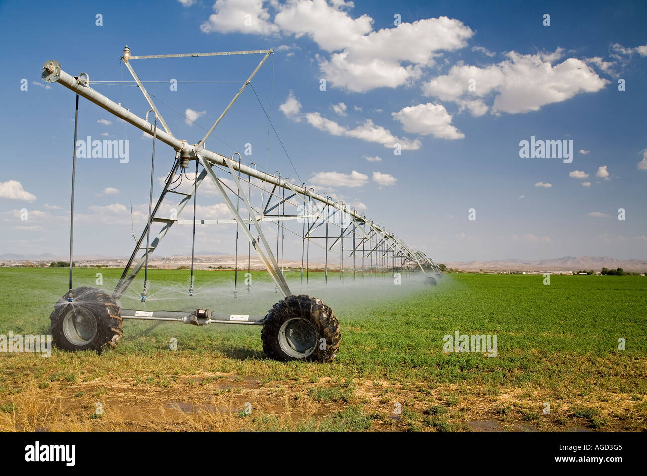 L'irrigation en désert de Mojave Banque D'Images