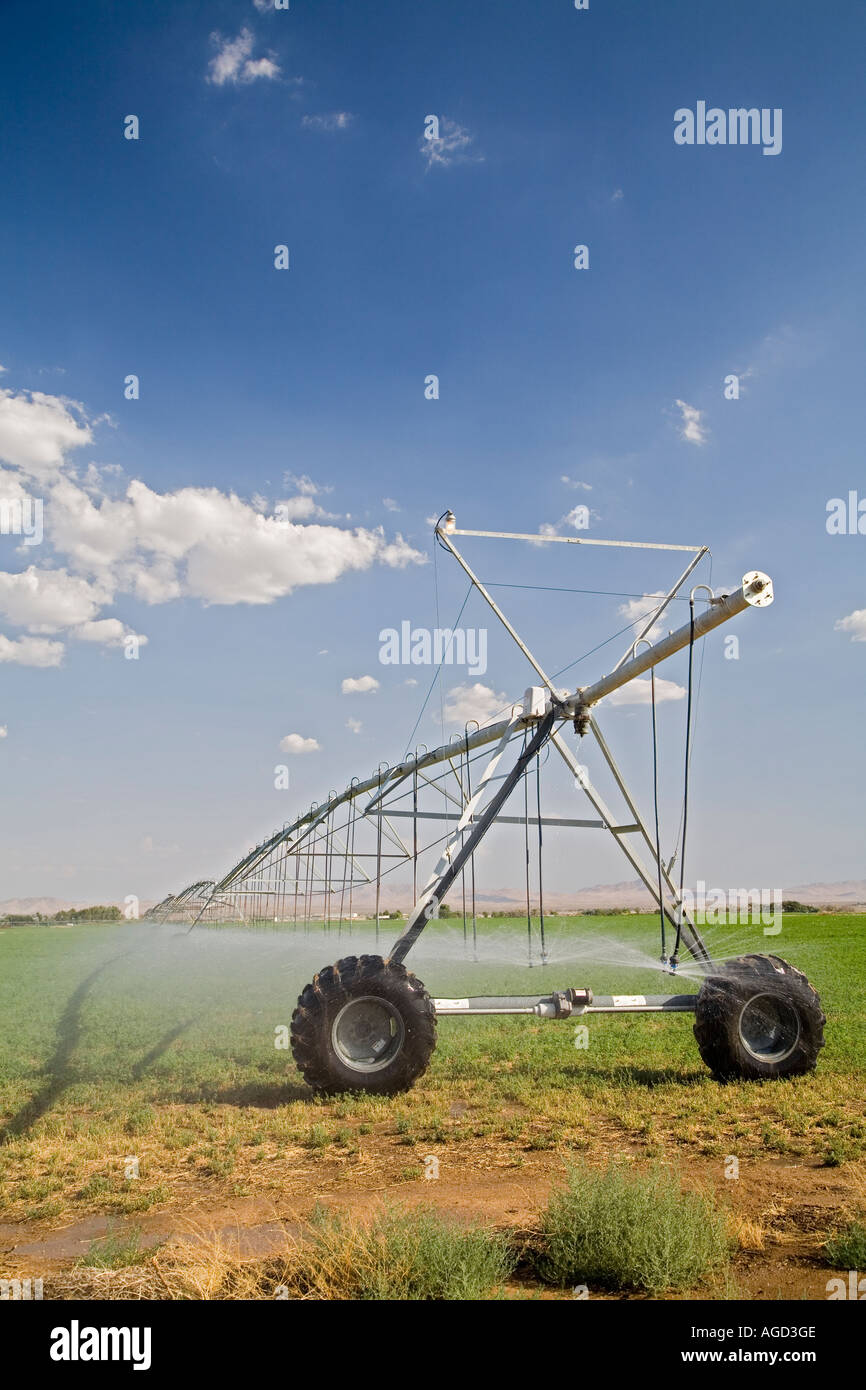 L'irrigation en désert de Mojave Banque D'Images