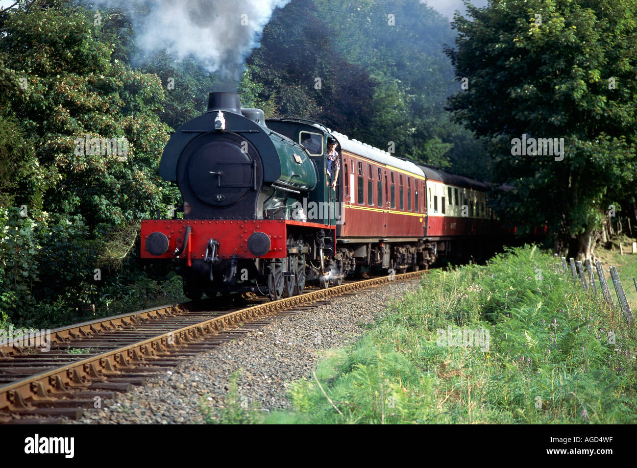 La locomotive à vapeur de Swiftsure passe Charlie s Gate comme elle voyage à travers la campagne le long du chemin de fer à vapeur de Bodmin et Wenford Banque D'Images