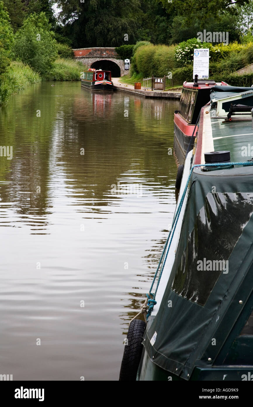 Populaires sur le canal de Llangollen Moorings à Ellesmere Shropshire en Angleterre Banque D'Images