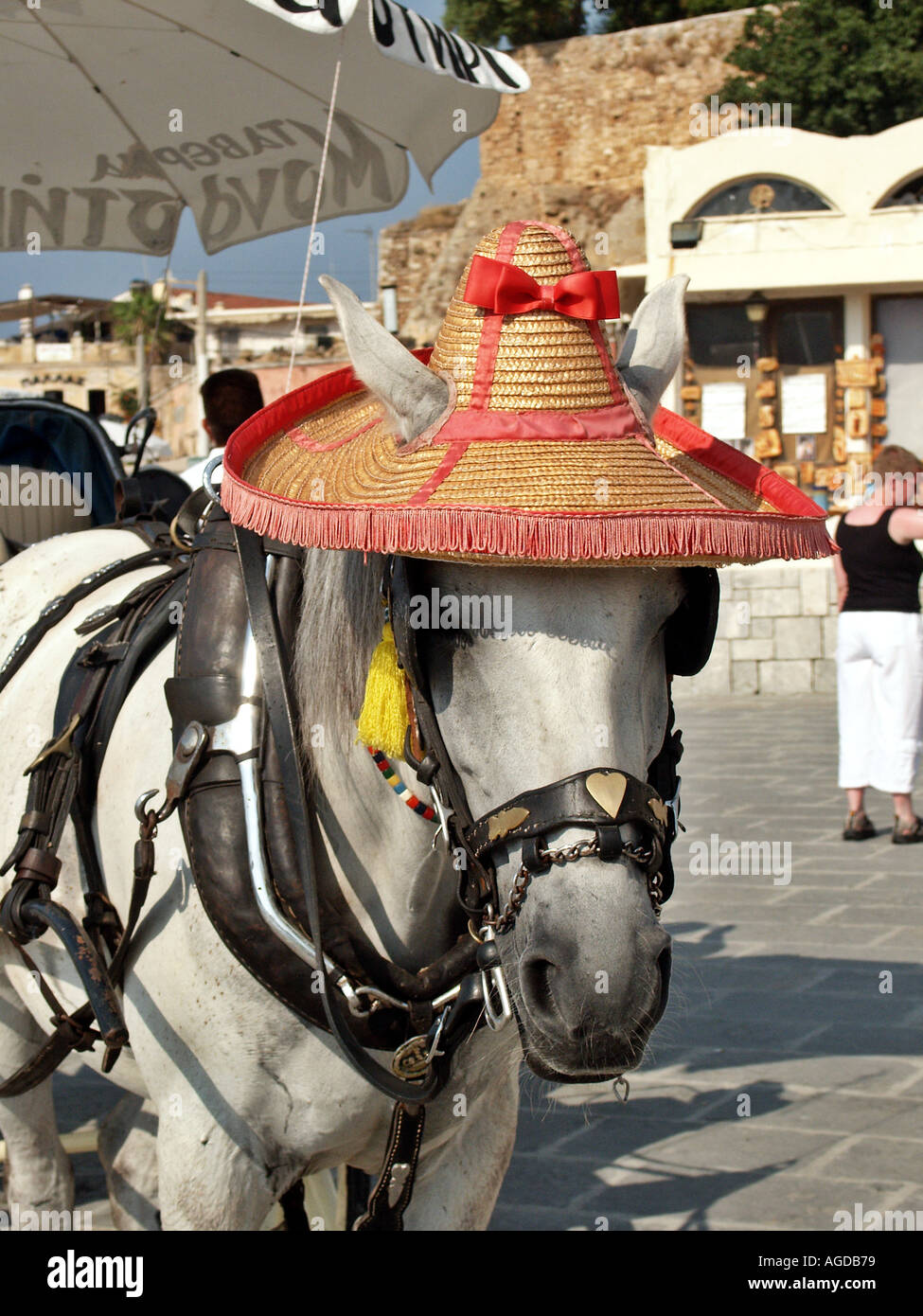 Âne wearing hat belted à des sentiers à Tissiniva panier touristique de Crète, Grèce Banque D'Images