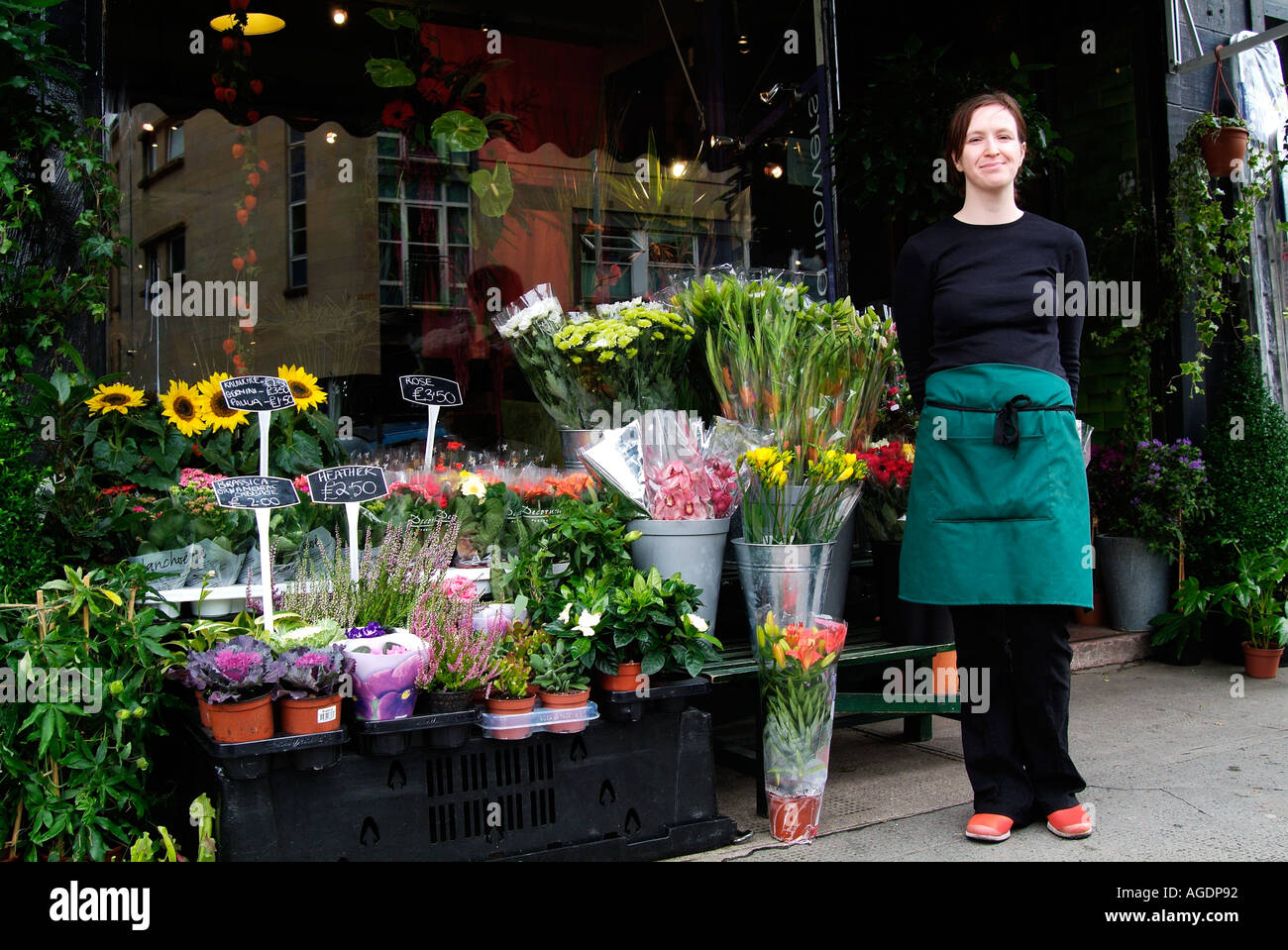 Femme propriétaire de petite entreprise Banque D'Images