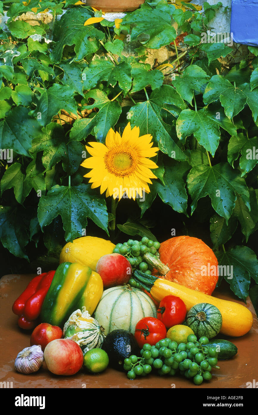 Les aliments typiques, les fleurs et les couleurs de la France Banque D'Images