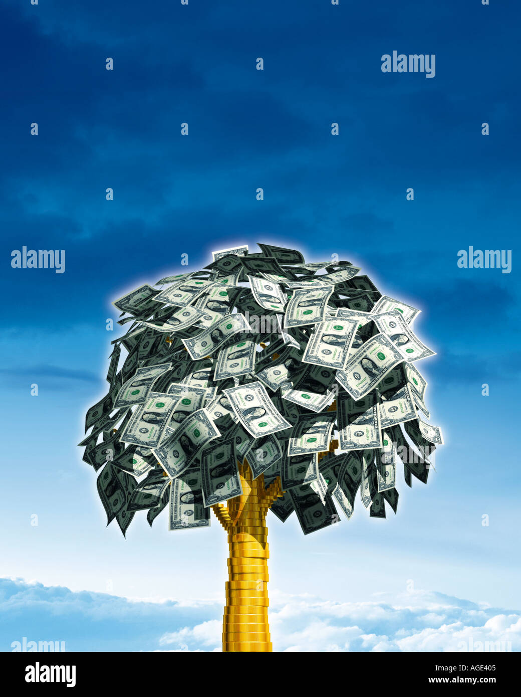 L'argent pousse dans les arbres Banque D'Images
