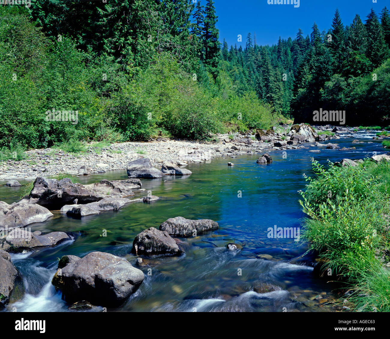 Santiam River dans l'Oregon USA Banque D'Images