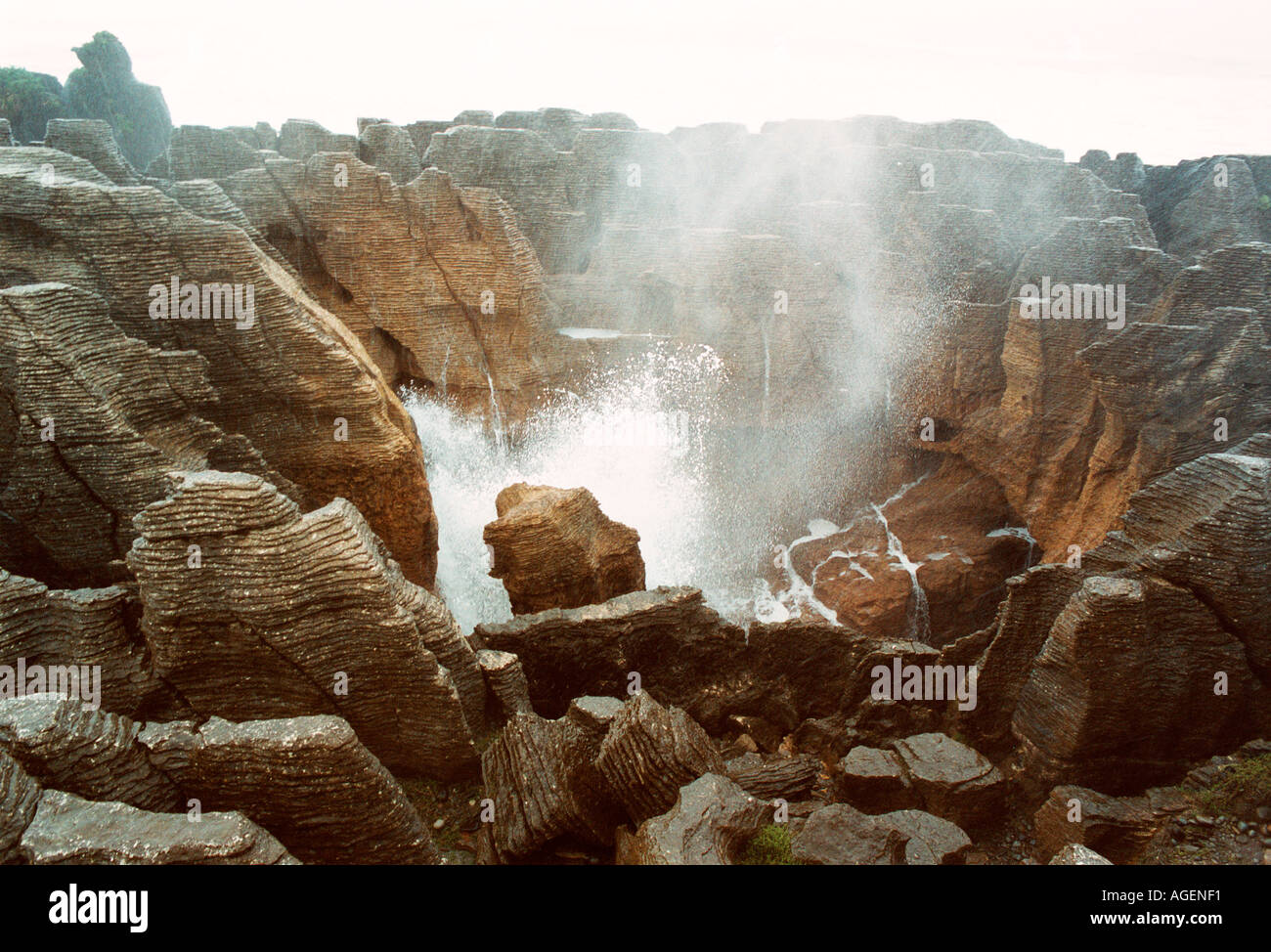 Les éclaboussures d'eau à partir d'un évent par la Pancake Rocks à Punakaiki sur l'île du Sud Nouvelle-Zélande Banque D'Images