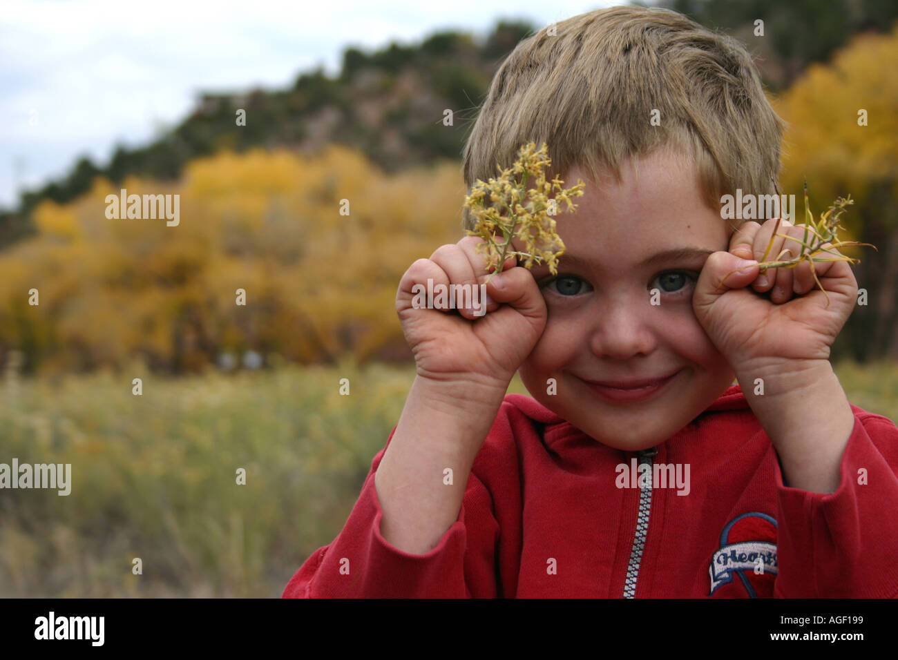 Boy smiling holding Flowers en automne Je suis un arbre Banque D'Images