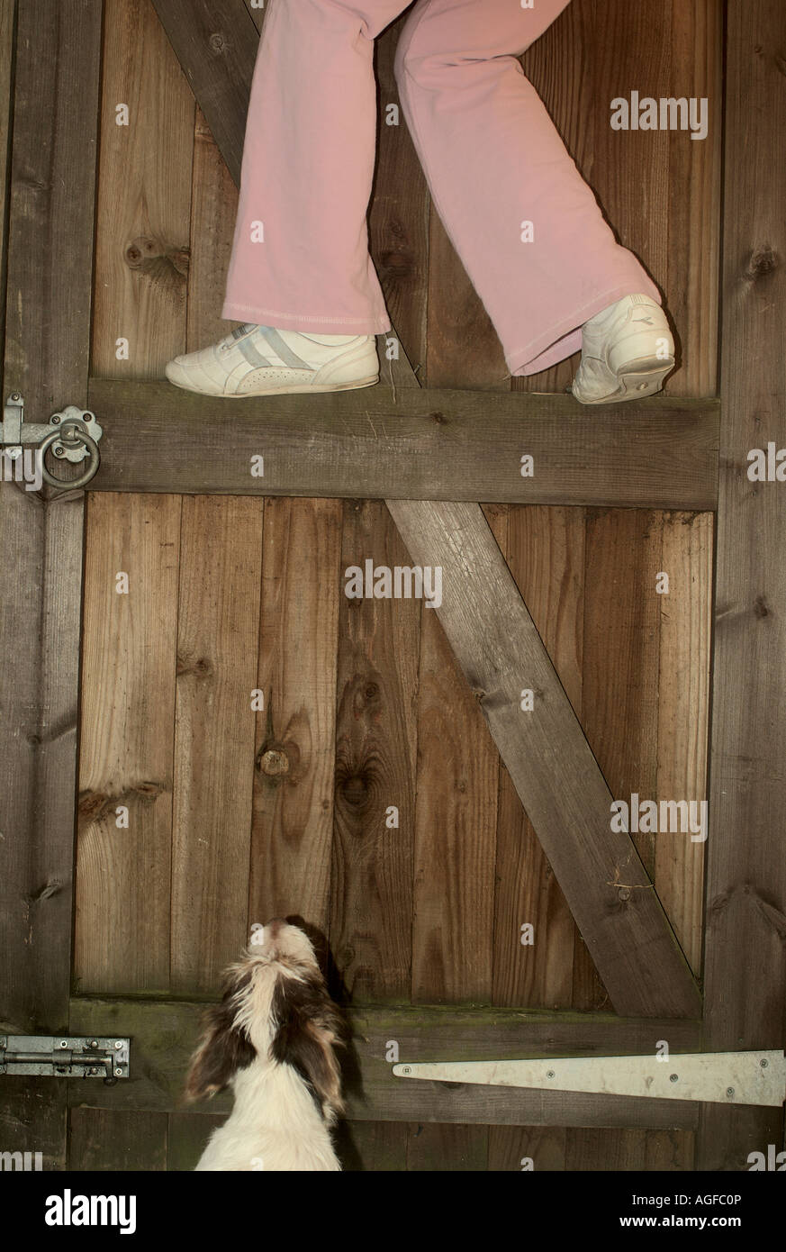 Un enfant se cache un chien qui aboyait en montant sur une clôture. Banque D'Images