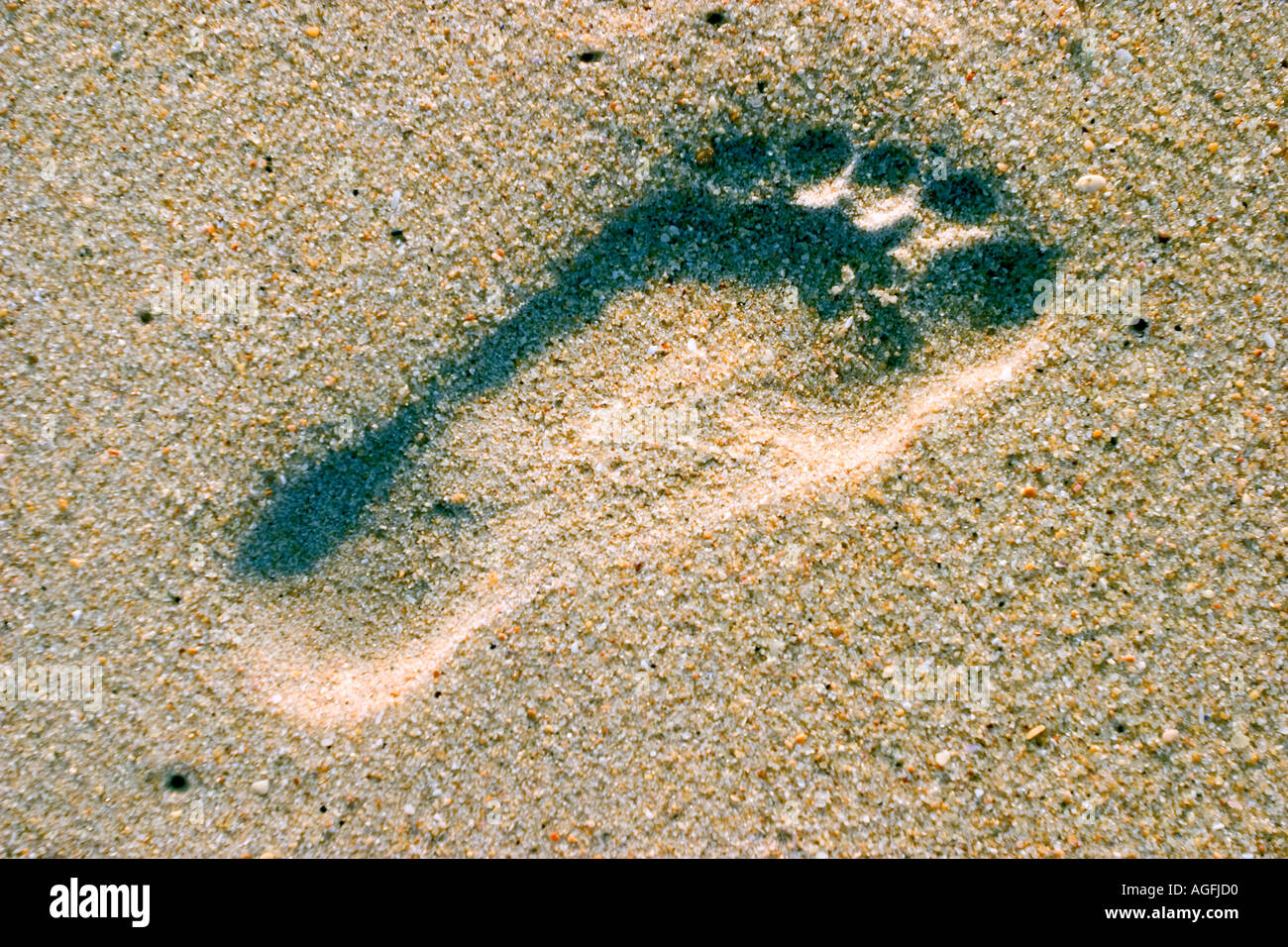 Footprints on sandy beach Banque D'Images