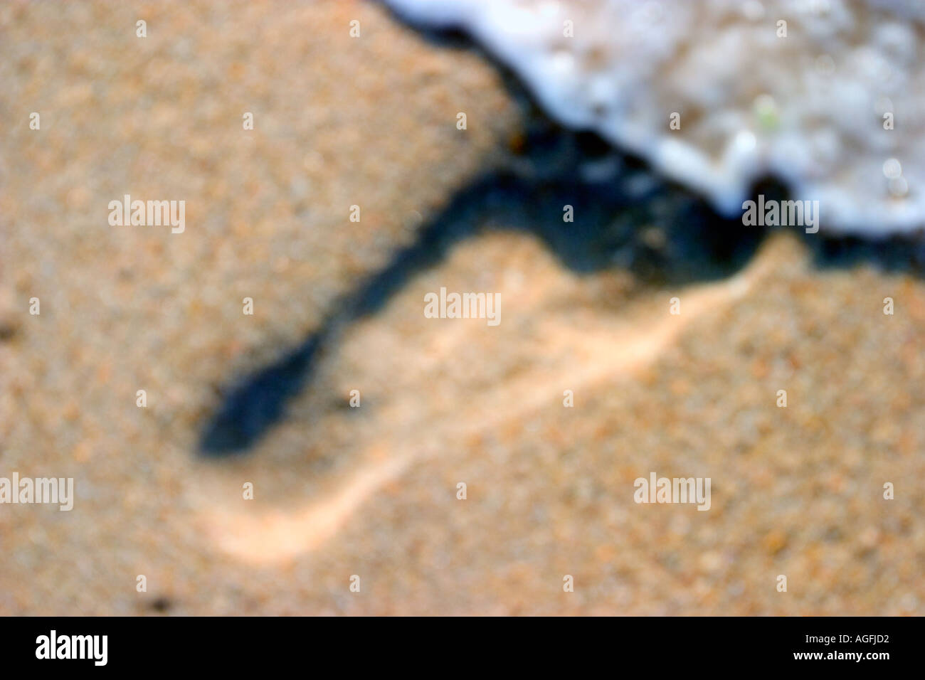 Plage de sable floue empreintes sur la récupération au bord de l'eau Banque D'Images