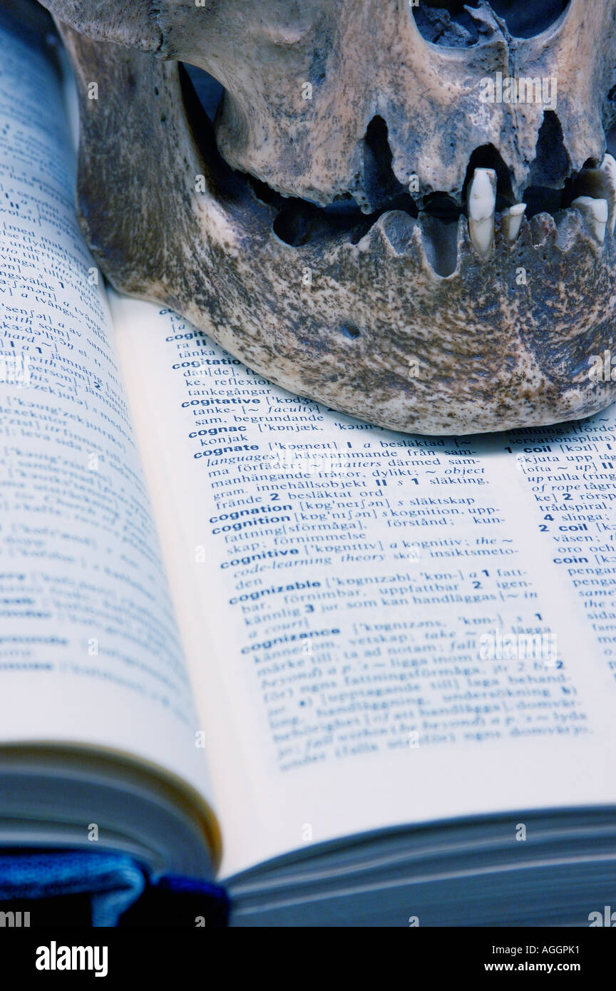 La godille d'une victime de meurtre dans un laboratoire judiciaire/ministère Banque D'Images