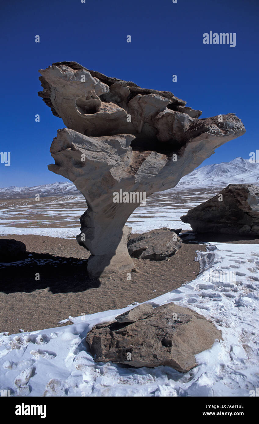Reserva Nacional Eduardo Avaroa une zone de beauté naturelle dans le sud ouest de la Bolivie La Bolivie Arbol de Piedra S Nord Siloli desert Banque D'Images