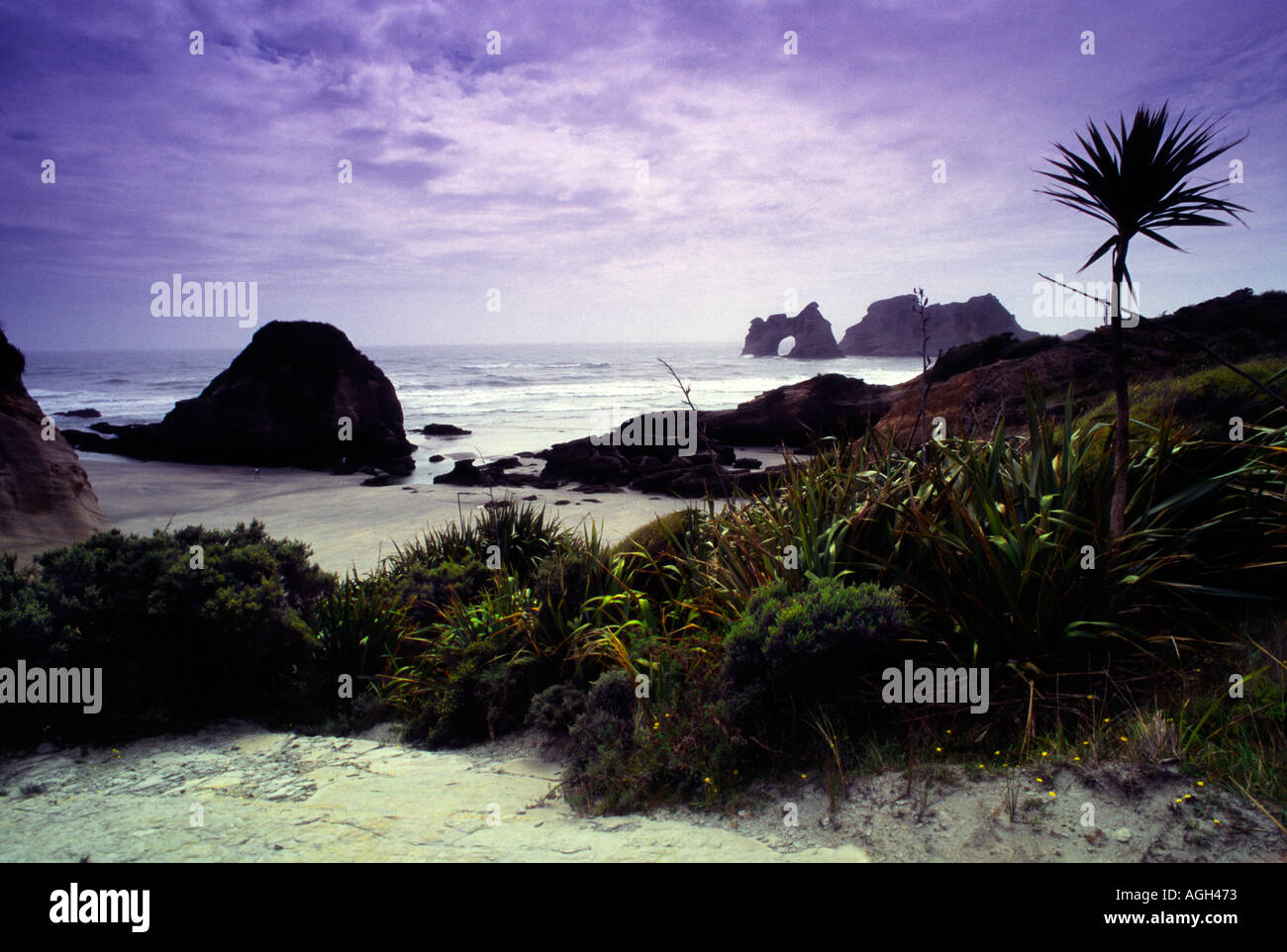 Wharariki Beach Nouvelle Zélande Banque D'Images