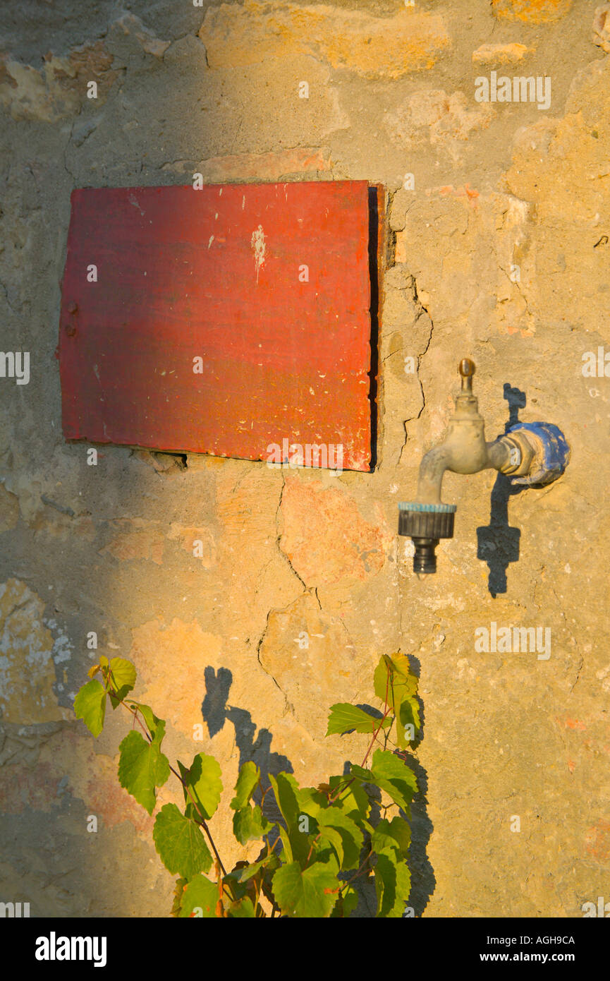 Appuyez sur un mur de la Toscane avec le rectangle rouge et plante, éclairé par la lumière du soir, Casa Alle Vacche, Toscane, Italie Banque D'Images