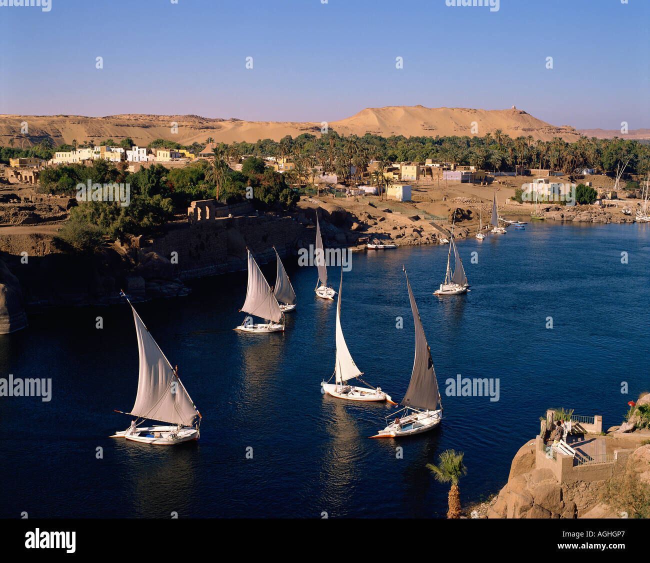 Egypte Nil Assouan Elephantine Island felouques Navigation Banque D'Images