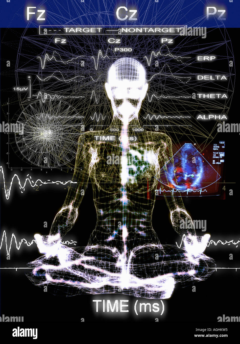 Les propriétés physiologiques du corps humain Banque D'Images
