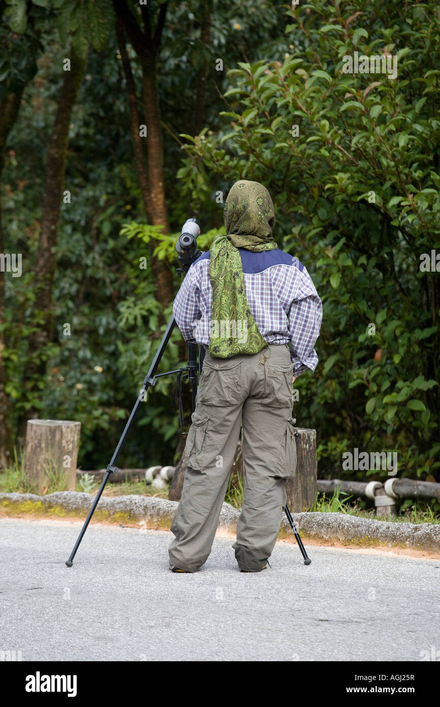 Parc National Doi Inthanon, Chiang Mai, Asie. Observation Des Oiseaux En Thaïlande. Au total, 382 espèces d'oiseaux sont jusqu'à présent connues de Doi Inthanon. Banque D'Images