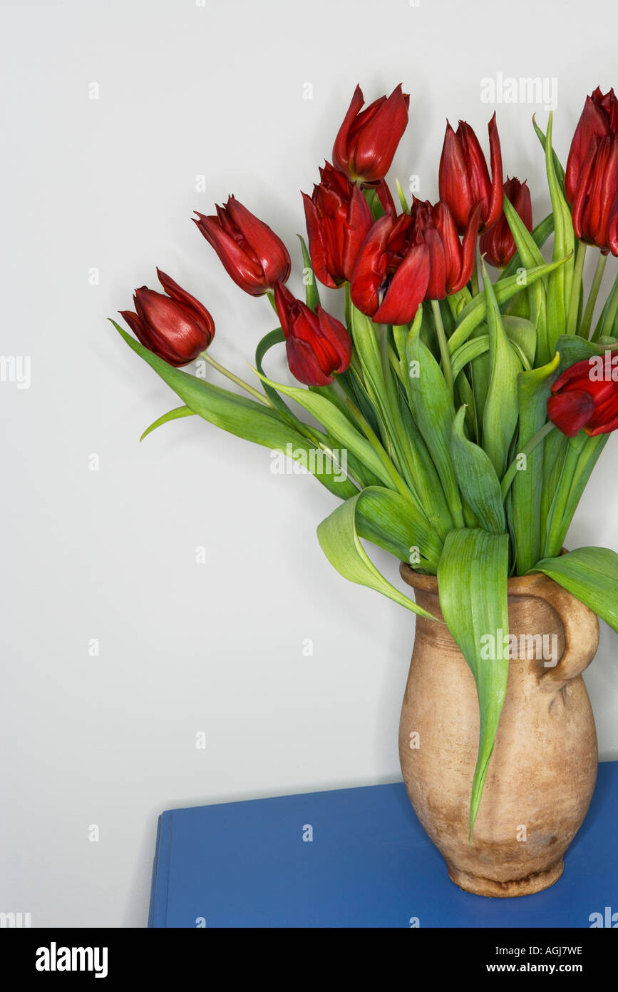 Tulipes rouges en faïence brown jug debout sur une surface bleue. Banque D'Images